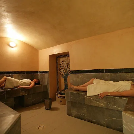 Le Pavillon Du Chateau, & Hotel 4*
