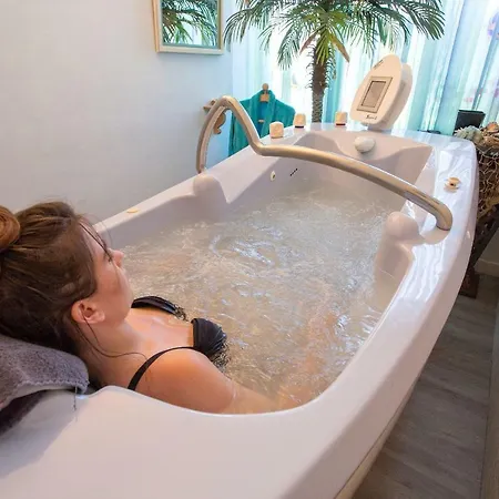 Le Pavillon Du Chateau, & Hotel Revel (Haute-Garonne)